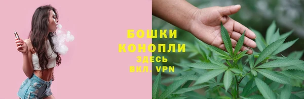 молекула духа Алзамай