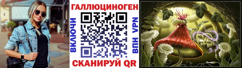 даркнет состав где можно купить наркотик Белокуриха Галлюциногенные грибы GOLDEN TEACHER